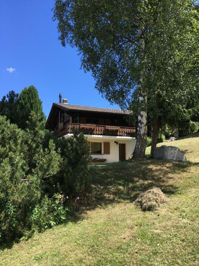 Ferienwohnung im Chalet Firn - OG Bürchen Exterior foto